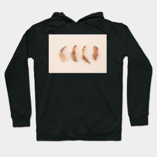 Feather Collection #1 Hoodie